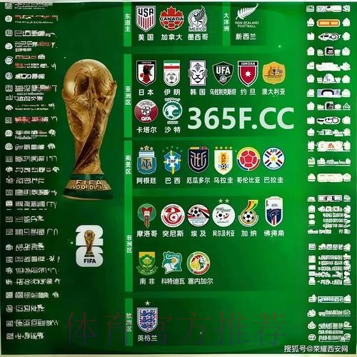 世界杯下注平台推荐最佳选择 世界杯下注平台推荐最佳选择